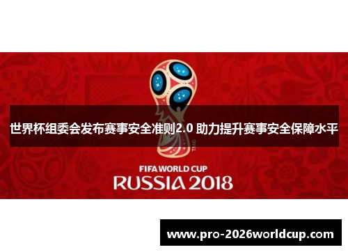 世界杯组委会发布赛事安全准则2.0 助力提升赛事安全保障水平